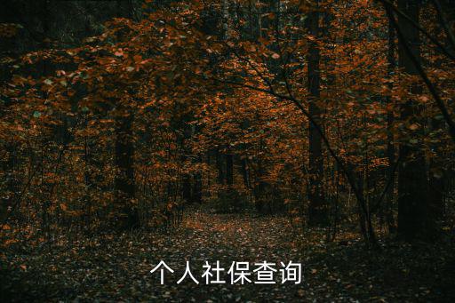 個(gè)人社保查詢