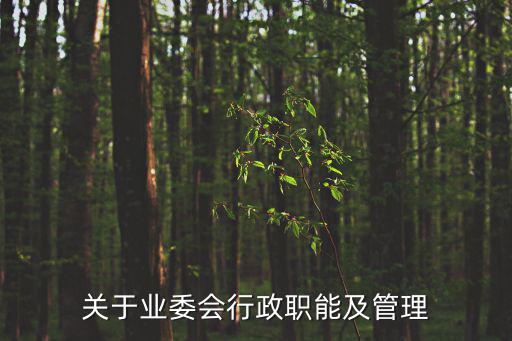 行政委員會，縣級以下行政管理委員會是什么級別