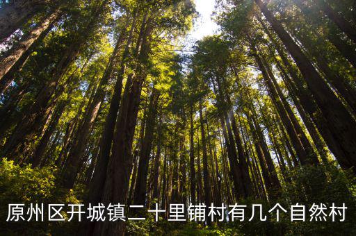 原州區開城鎮二十里鋪村有幾個自然村