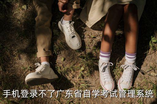 手機登錄不了廣東省自學考試管理系統