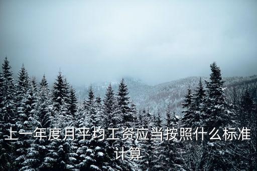 上一年度月平均工資應當按照什么標準計算