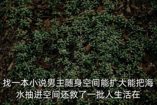 隨身帶著海洋空間，求書名 現(xiàn)耽空間文 小受和爺爺一起住得帶一個可以改善海洋環(huán)境的