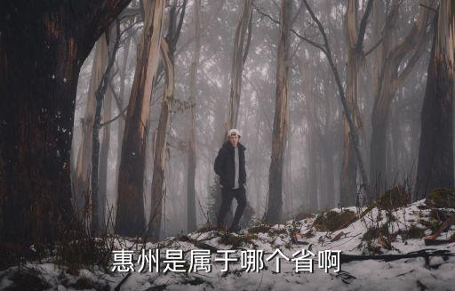惠州是屬于哪個省啊