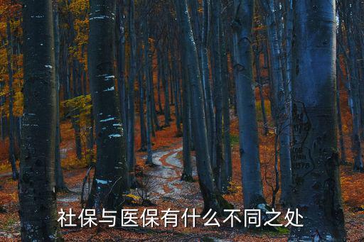 社保與醫保有什么不同之處