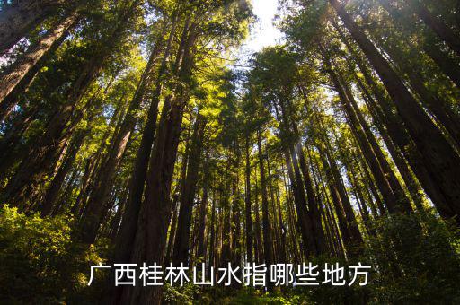 桂林山水景區(qū)，桂林山水風(fēng)景名勝區(qū)的介紹
