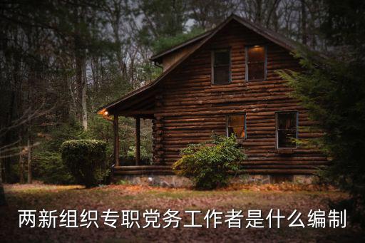 兩新組織專職黨務工作者是什么編制