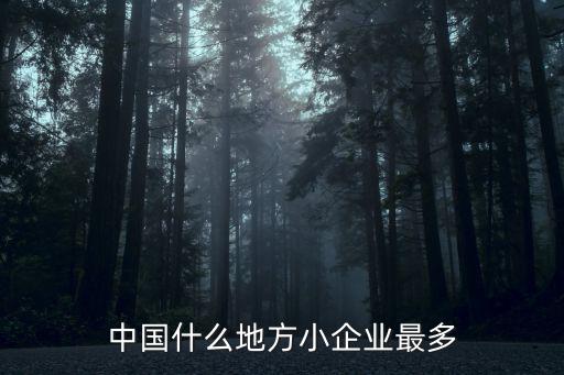 中國什么地方小企業最多