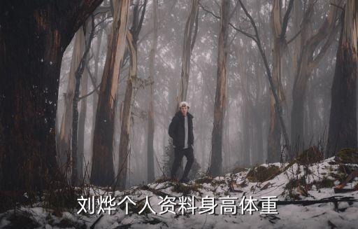 劉燁個(gè)人資料身高體重