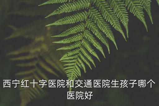 西寧紅十字醫院和交通醫院生孩子哪個醫院好