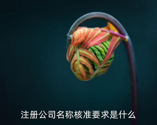 注冊公司名稱核準要求是什么