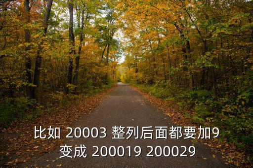 比如 20003 整列后面都要加9 變成 200019 200029