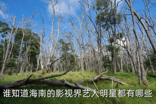 海南明星，今年過年準(zhǔn)備去海南想知道哪些明星在海南