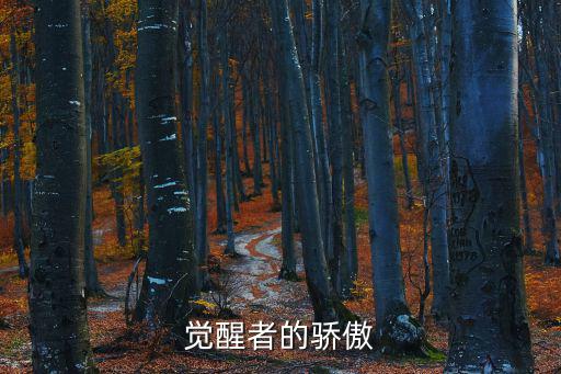 覺醒者的驕傲