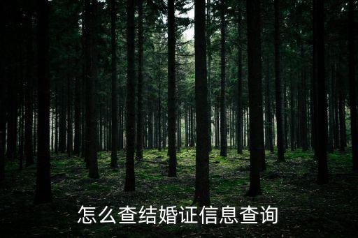 怎么查結婚證信息查詢