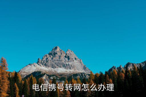 電信攜號轉網怎么辦理，電信轉網非要滿了120天才可以轉出去嗎