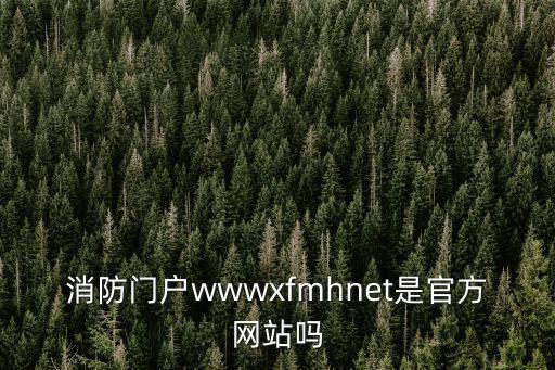 消防門戶wwwxfmhnet是官方網站嗎