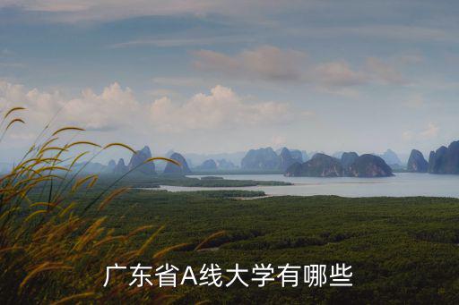 廣東一本大學有哪些學校，有哪些一本院校是在廣州市的