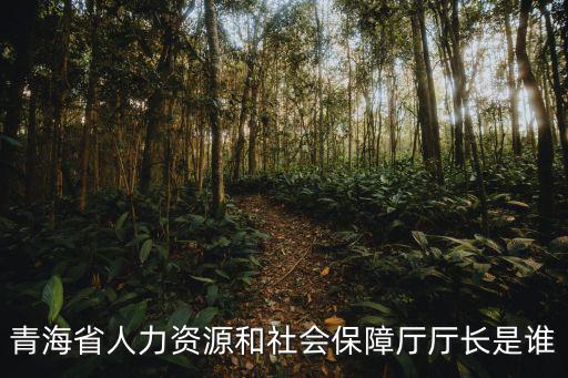 青海人社通，青海省人力資源和社會(huì)保障廳廳長(zhǎng)是誰
