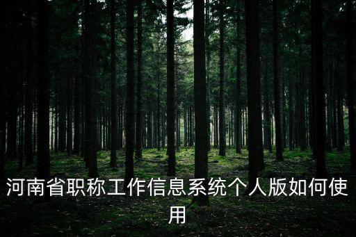 個人職稱申報入口，河南省職稱工作信息系統個人版如何使用