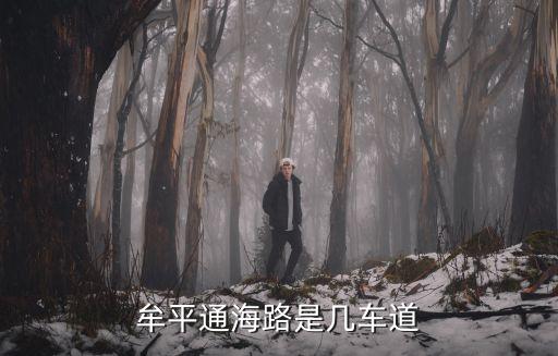 通海路，去南通市通州區通海路58號的公交路線