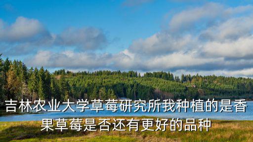 吉林農業大學草莓研究所我種植的是香果草莓是否還有更好的品種
