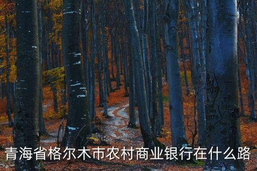 青海省格爾木市農(nóng)村商業(yè)銀行在什么路