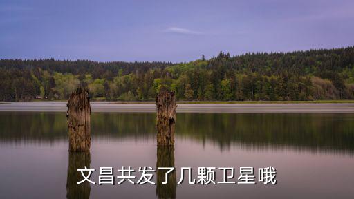 文昌共發了幾顆衛星哦