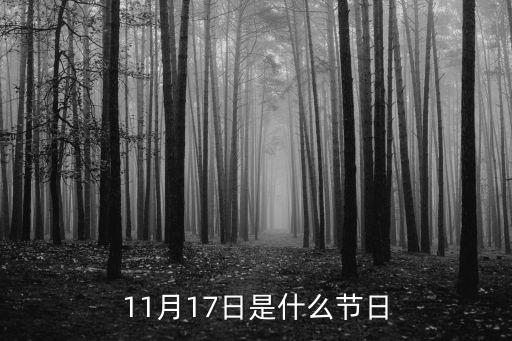 11月17日是什么節日