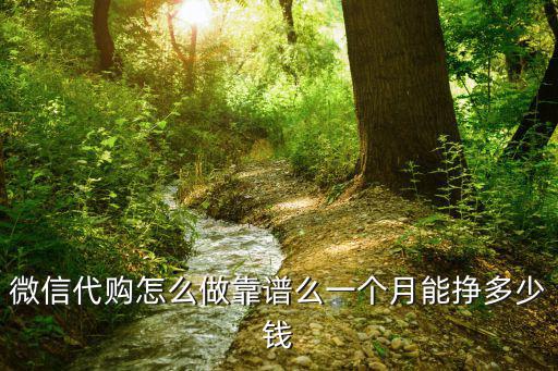 微信代購怎么做靠譜么一個月能掙多少錢