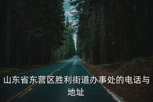 山東省東營區(qū)勝利街道辦事處的電話與地址