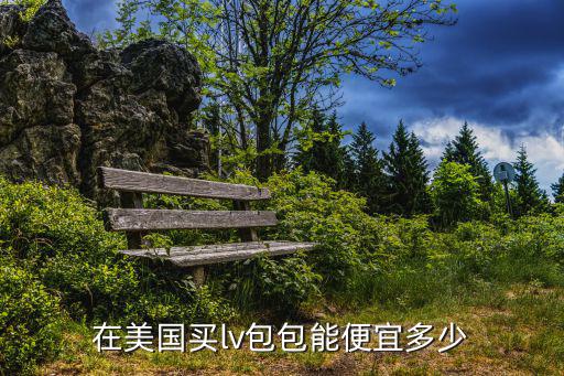 在美國買lv包包能便宜多少