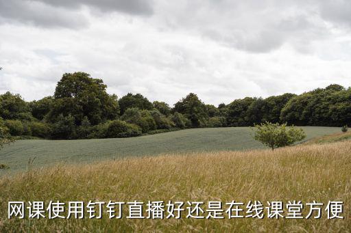網(wǎng)課使用釘釘直播好還是在線課堂方便