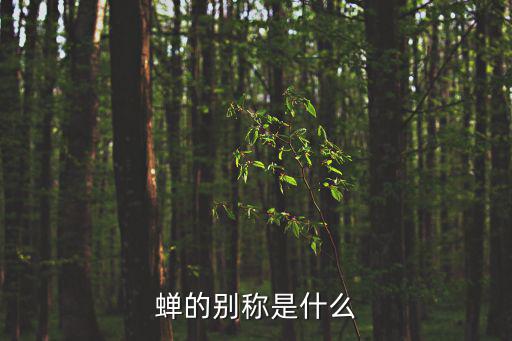 蟬的別稱是什么