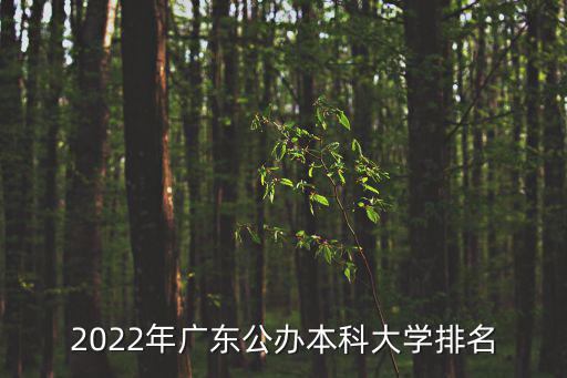 廣東本科院校排名，廣東民辦本科院校排名