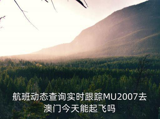 航班動態查詢實時跟蹤MU2007去澳門今天能起飛嗎
