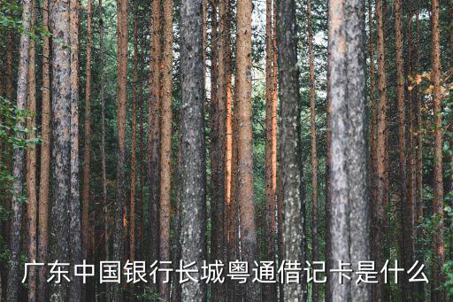 廣東聯合電子服務股份有限公司，為什么向聯合電子服務有限股份公司完成ETC交易人民幣1520  搜