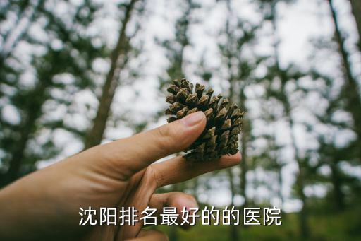 沈陽醫院排名，沈陽市級以上醫院名單根據效益排名謝啦