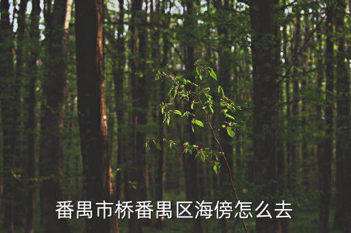番禺市橋番禺區海傍怎么去