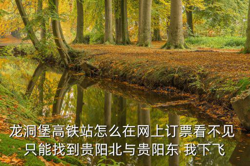 龍洞堡高鐵站怎么在網上訂票看不見 只能找到貴陽北與貴陽東 我下飛