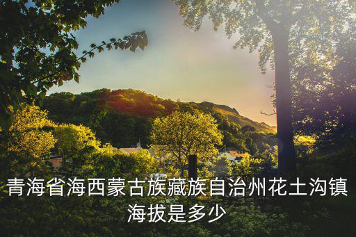 青海省海西蒙古族藏族自治州花土溝鎮海拔是多少