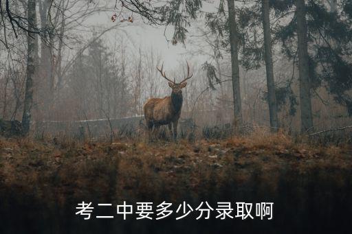 二中錄取分數線，考二中要多少分錄取啊