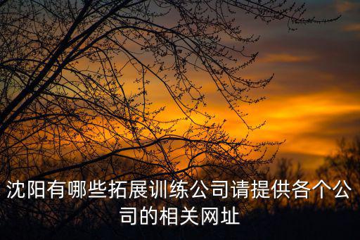 沈陽拓展訓練，沈陽有哪些拓展訓練公司請提供各個公司的相關網址
