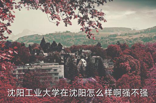 沈陽工業(yè)大學(xué)在沈陽怎么樣啊強不強