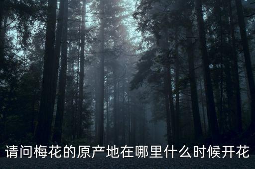 請問梅花的原產地在哪里什么時候開花