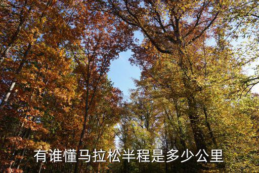 有誰懂馬拉松半程是多少公里