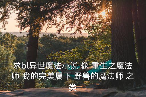 野獸的魔法師，求異界的魔法師穿越到地球的耽美文主受的 要是從異界穿越到現代地