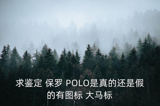 polo真假，如何鑒別polo衫真?zhèn)蝡olo的