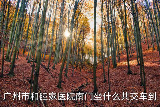 廣州市和睦家醫(yī)院南門坐什么共交車到