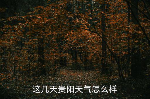 貴陽白云天氣預報，貴陽白云公園過年這幾天開門迎客么