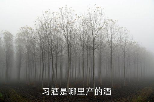 習(xí)酒是哪里產(chǎn)的酒